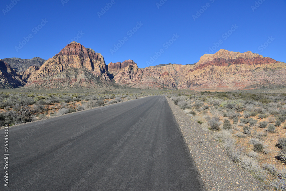 Fototapeta premium A road going through the Mojave desert, USA.