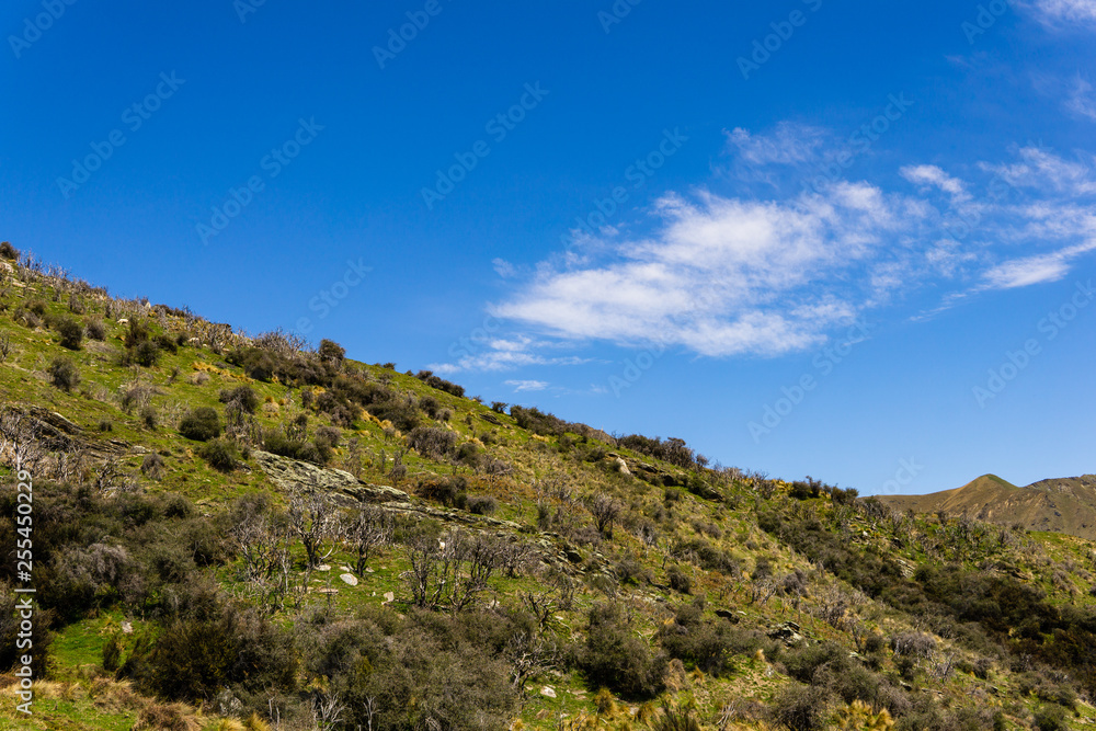 green hills, sunny day, blue sky with white clouds