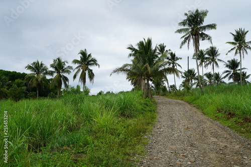 Dirt road running through rural countryside of the tropical jungle landscape outside of Dumaguete, Philippines