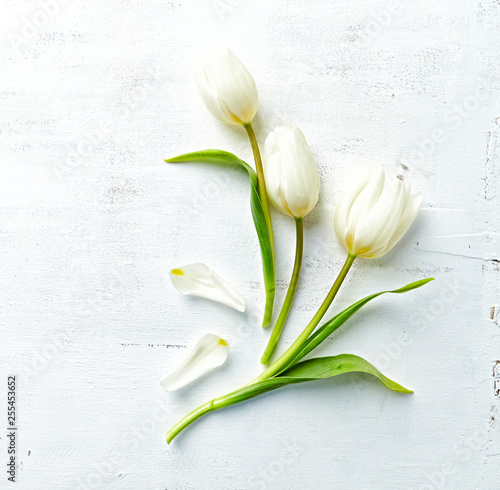 Fototapeta Naklejka Na Ścianę i Meble -  White spring tulips on painted wooden background. Flat lay. Copy space