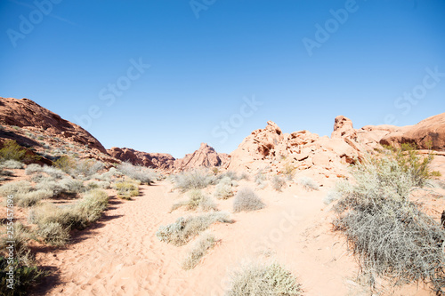 RED ROCK CANYON