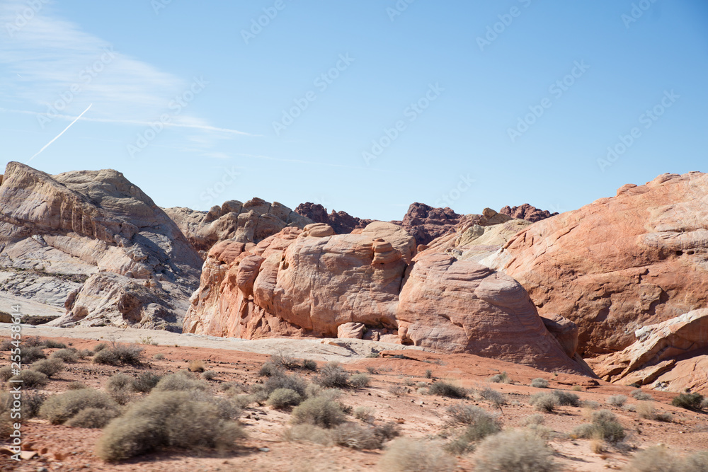 RED ROCK CANYON
