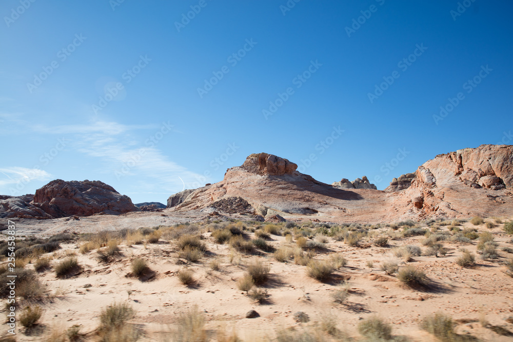 RED ROCK CANYON