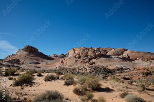 RED ROCK CANYON