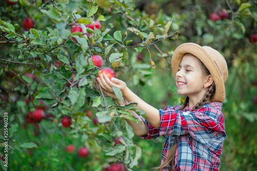 Portrait of a cute girl in a farm garden with a red apple.