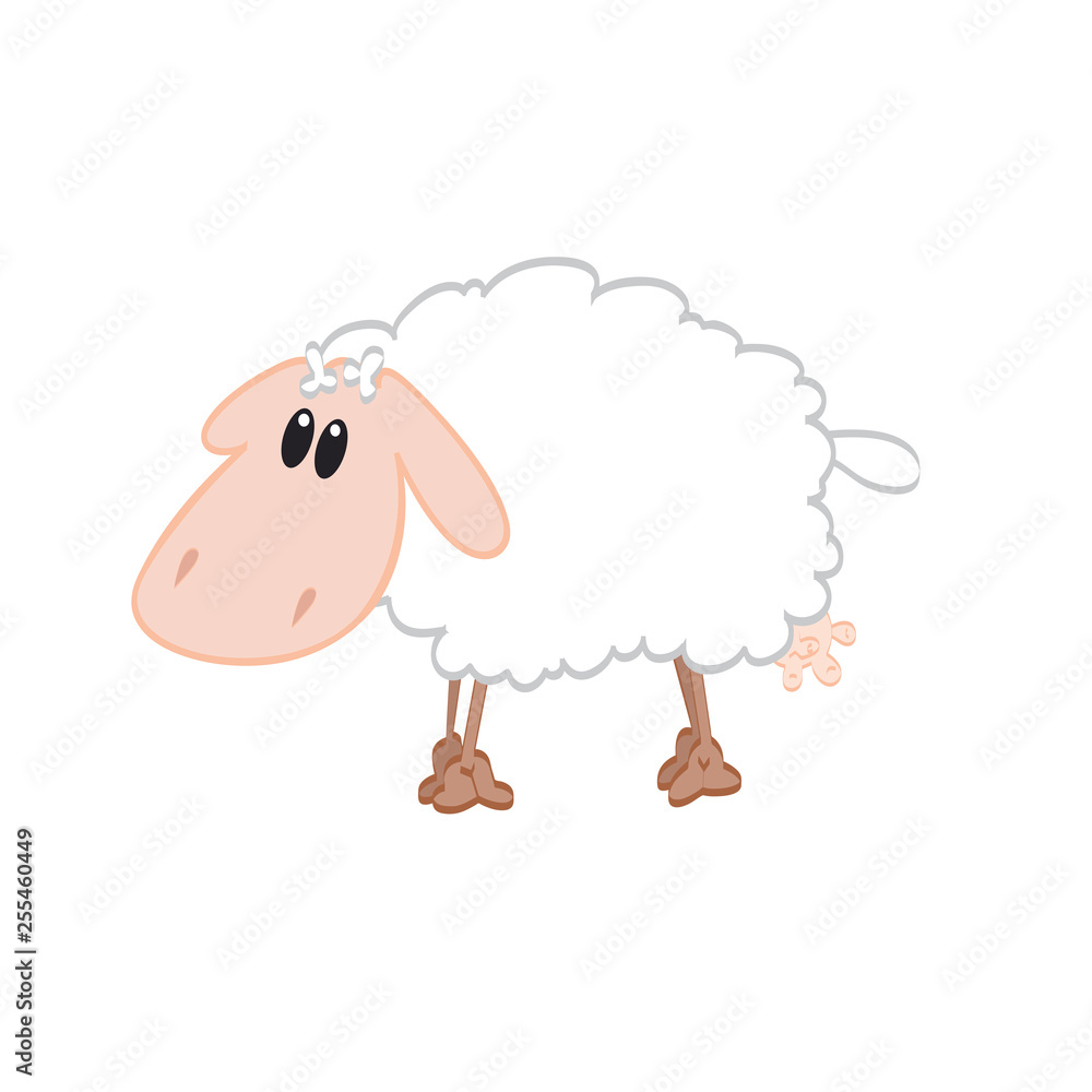 Obraz premium SHEEP