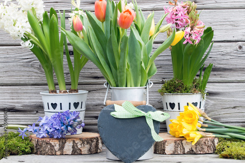 Duftende Hyazinthen und Tulpen mit Herz im Frühling rustikal vor Holz