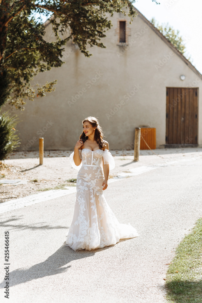 Beautiful young bride in a beautiful wedding dress posing outdoors. Wedding day