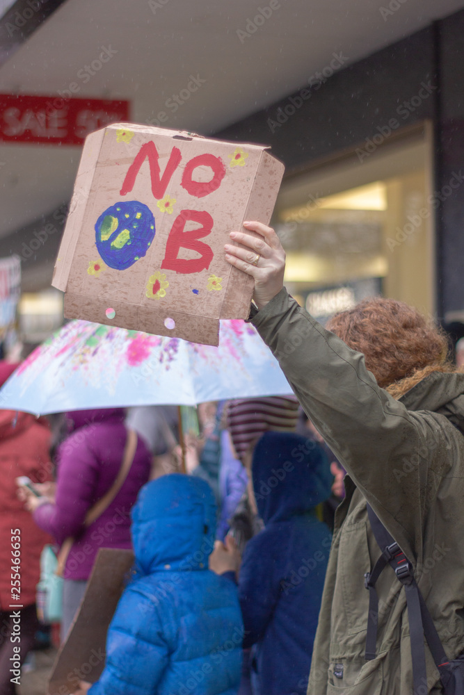 YOUTH STRIKE AGAINST CLIMATE CHANGE MARCH 15TH 2019