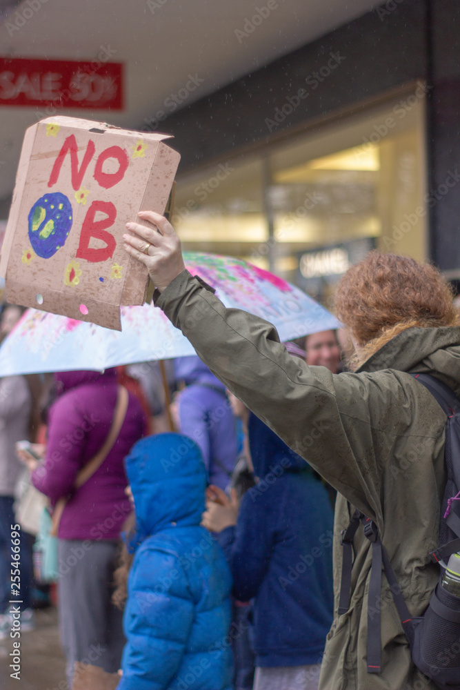 Obraz premium YOUTH STRIKE AGAINST CLIMATE CHANGE MARCH 15TH 2019