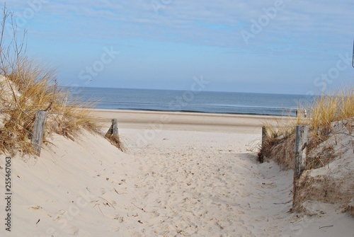 Fototapeta Naklejka Na Ścianę i Meble -  Plaża nad Bałtykiem