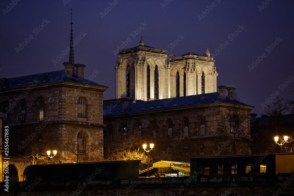 Paris, France - January 26, 2019: Towers of Notre Dame de Paris behind flowers market by night