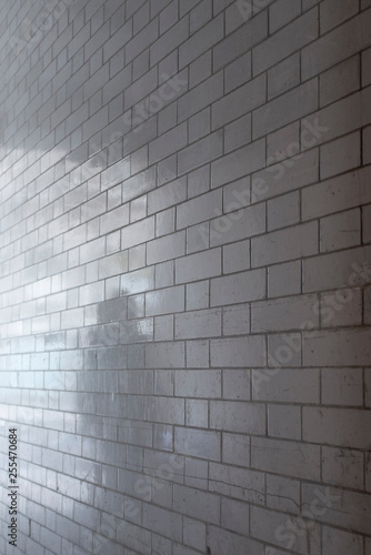 Shadow of person reflected in white glazed brick wall