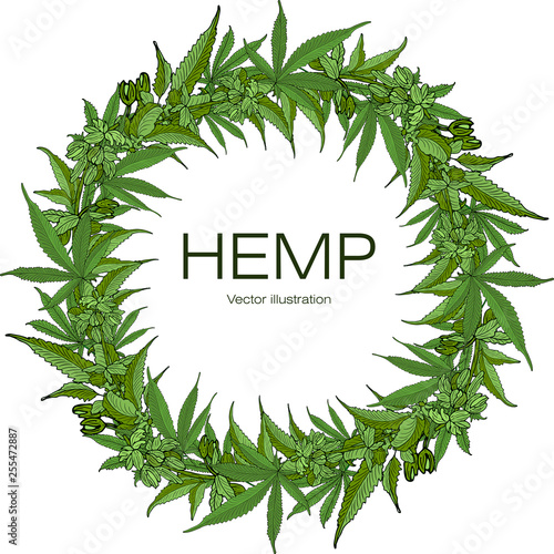 Template hemp 2