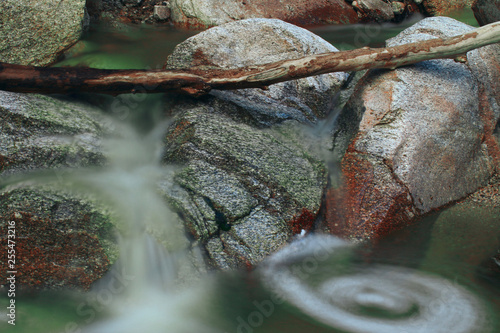 A tiny whirlpool in Bear Canyon in the Coronado National Forest. 