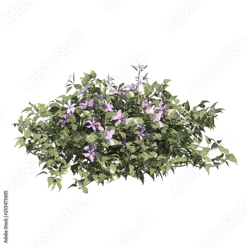 Plants 3d illustration isolated on the white background