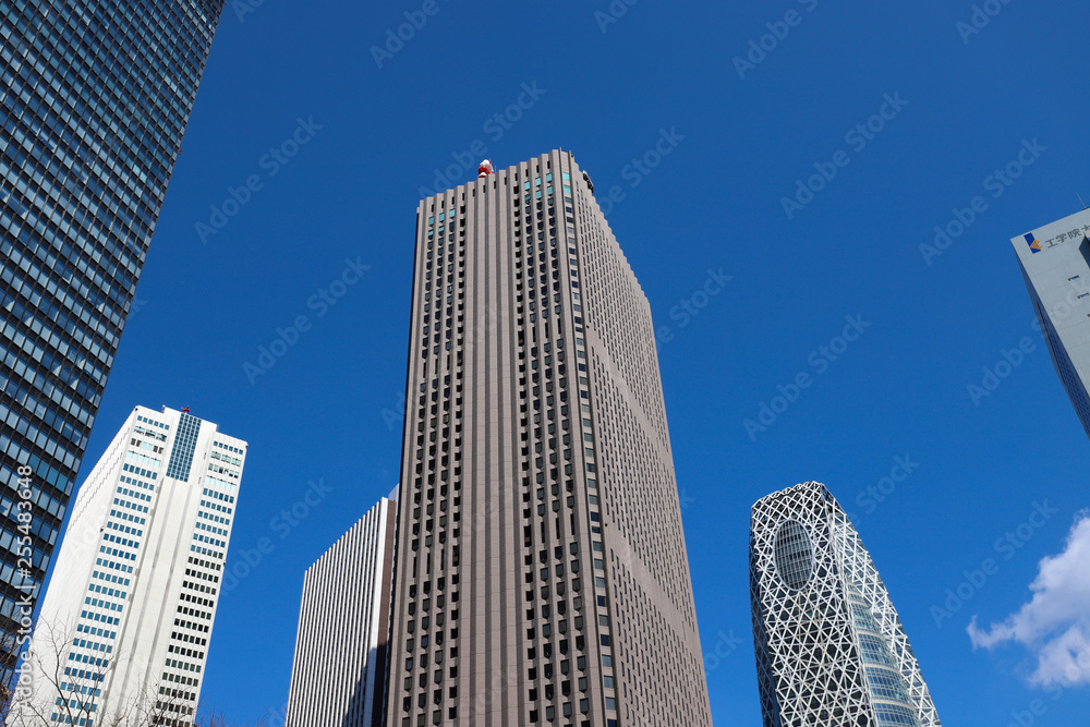 Fototapeta premium 新宿の高層ビル