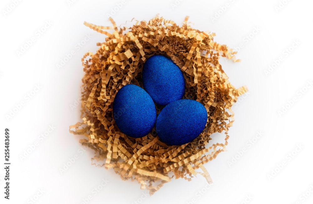 Fototapeta premium Easter eggs in a nest