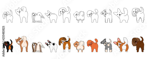 Set of funny small dogs showing their butts