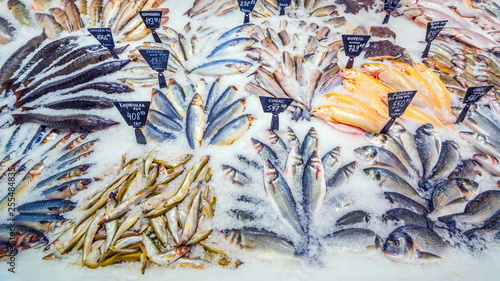 a large selection of fresh fish lying in the ice on the counter of the supermarket. 