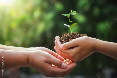 hand of mother and children holding young tree for planting in earth day