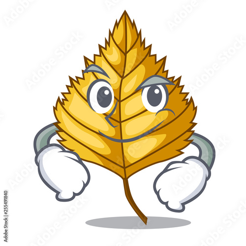 Smirking birch leaf isolated in the character