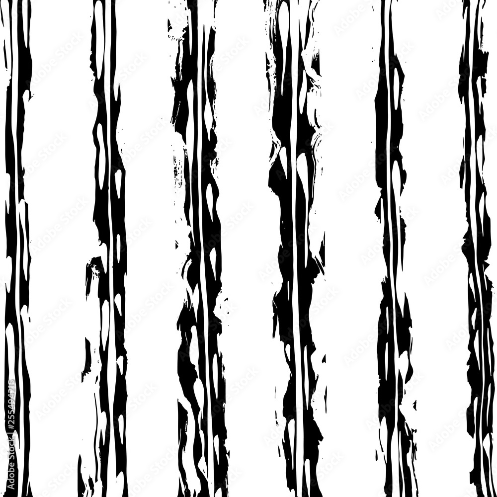 Fototapeta premium Brush grunge pattern. White and black vector.