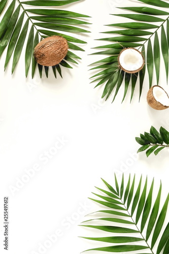 top view travel background. tropical green palm branches pattern frame, coconut, seashells, stars, sunglasses on a white background. copy space.abstract.