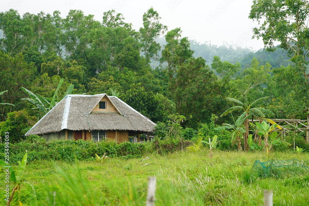 Farm house in the jungle near Bacolod City, Philippines Stock Photo