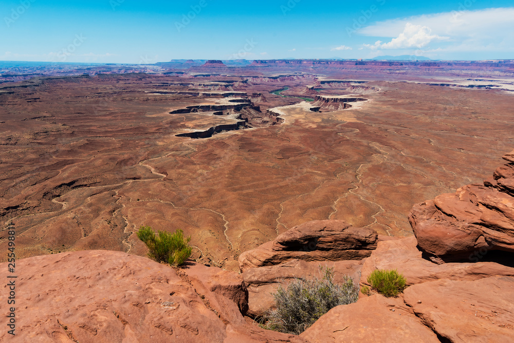 Fototapeta premium Canyonlands