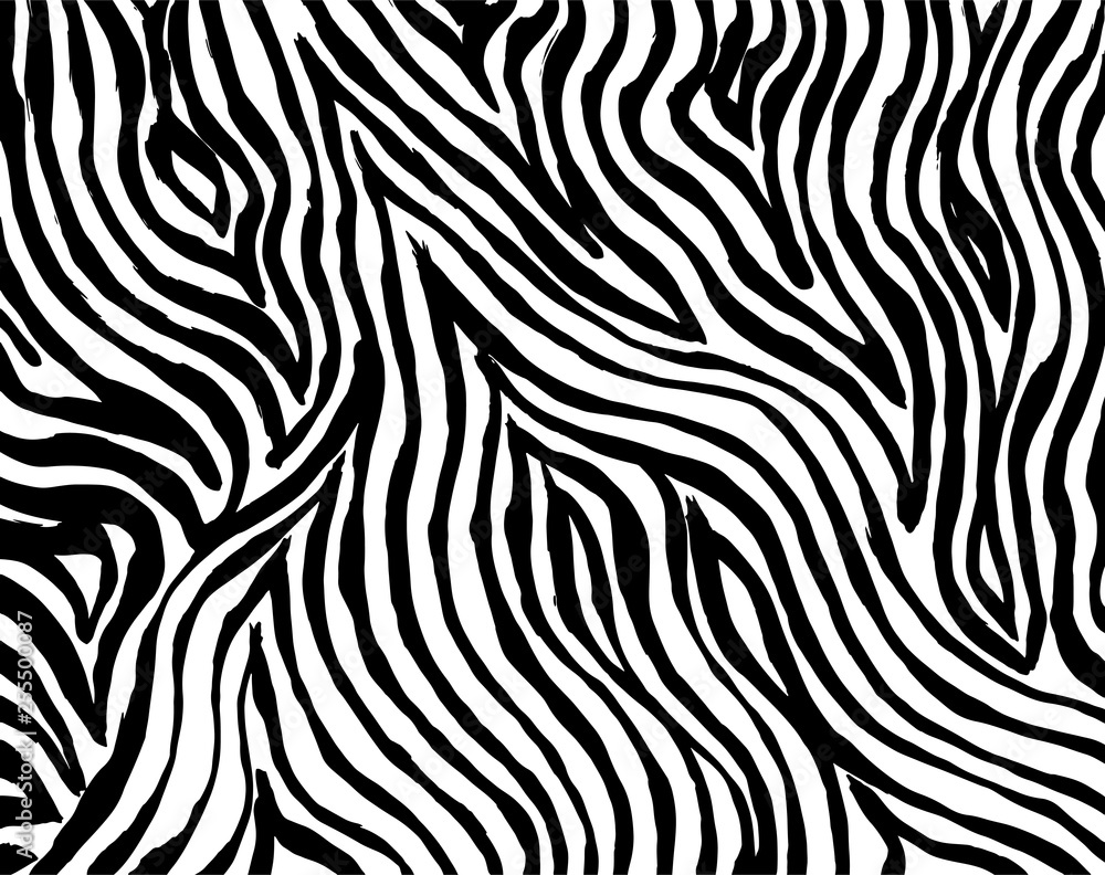 Brush grunge pattern. White and black vector.