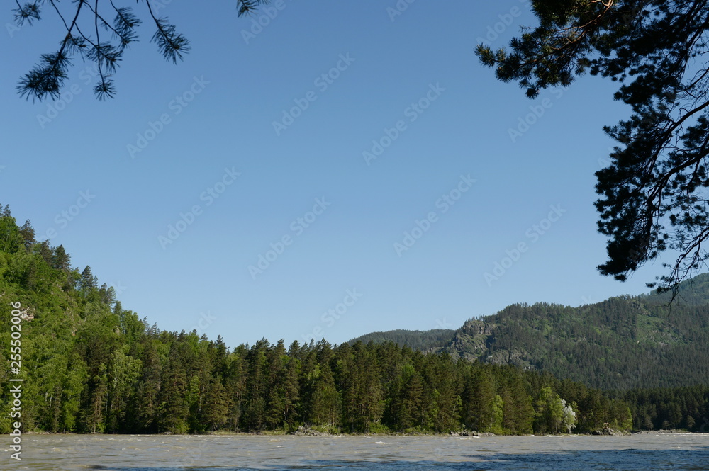 Mountain river Katun. Altai Republic. Western Siberia. Russia Mountain river Katun. Altai Republic. Western Siberia. Russia