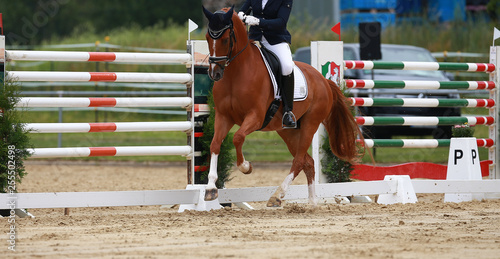 .Horse dressage with rider in tournament photographed on the hoof stroke in an uphill canter.