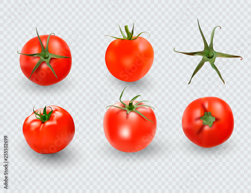 Tomato set. Red tomato collection. Photo-realistic vector tomatoes on transparent background