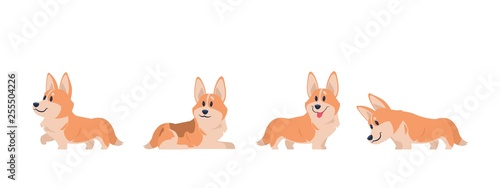 Cartoon corgi. Flat puppy for stickers, postcards, prints and posters, corgi home pet. Vector set of cartoon corgi planes photo