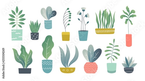 Flat houseplants. Indoor doodle garden plants, cute interior succulents and house plants. Hand drawn vector home garden set