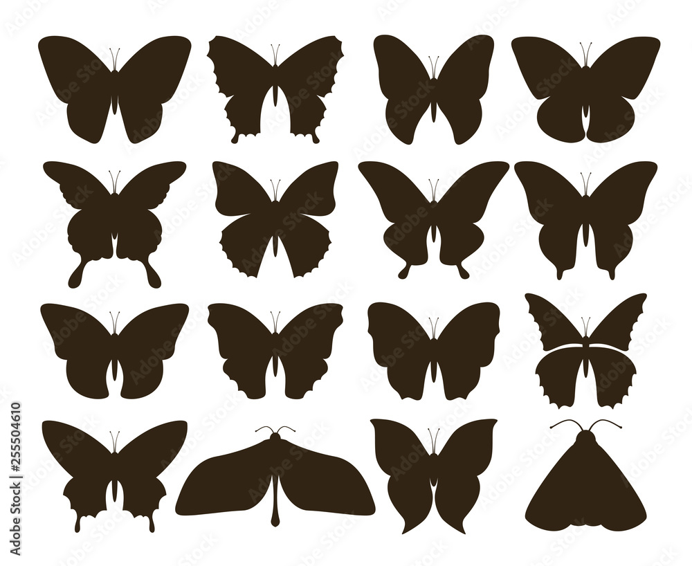 Silhouette butterflies. Simple collection of hand drawn black tattoo shapes, vintage fly insect set. Vector butterfly drawing Silhouette butterflies. Simple collection of hand drawn black tattoo shapes, vintage fly insect set. Vector butterfly drawing