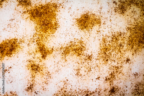 Texture of rusty metal background. Old rust iron surface.