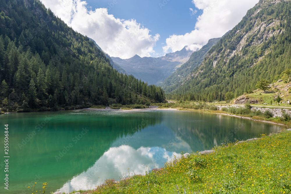Mountain lake on the alps in summer, Macugnaga and lake delle Fate, Italy
