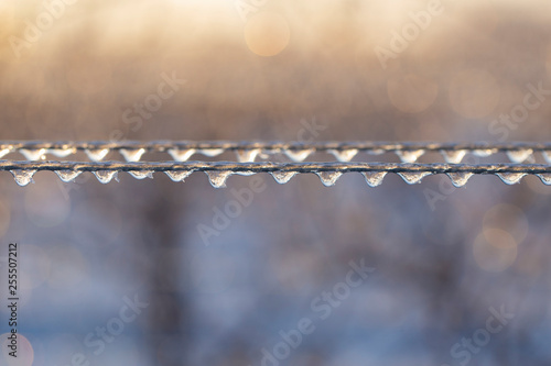 Wire in the ice. Drops of water froze in the winter. Frosted electrical lines.