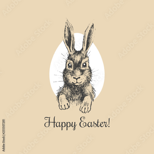Happy Easter Bunny