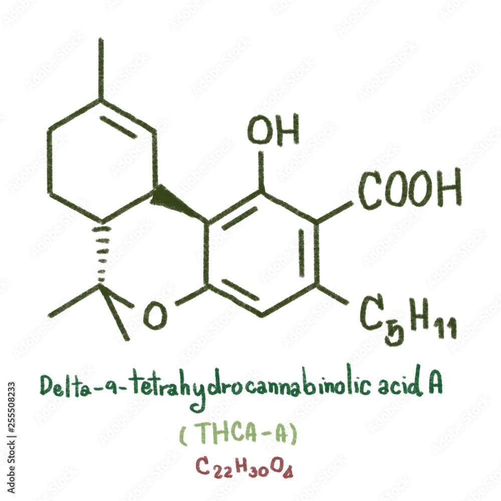 Fototapeta premium Cannabielsoin (CBE) type: the five CBE-type cannabinoids, which are arti- facts formed from CBD, are CBE (Cannabielsoin) and its acid precursors A (cannabielsoic acid A) and B (cannabielsoic acid B).