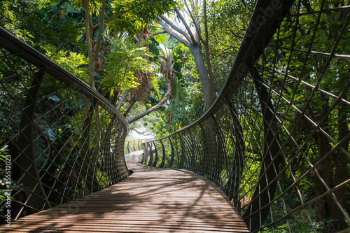 Canopy suspension bridge at botanical garden in kirstenbosch cape town south africa photo