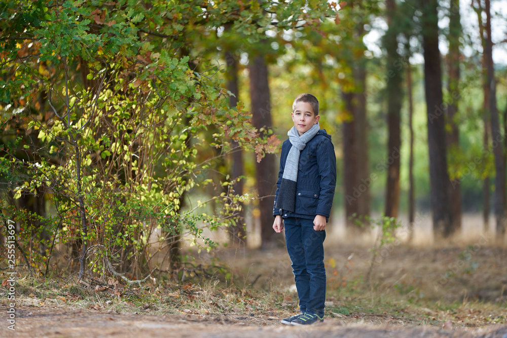 Portrait of a boy looking friendly into camera in a forest