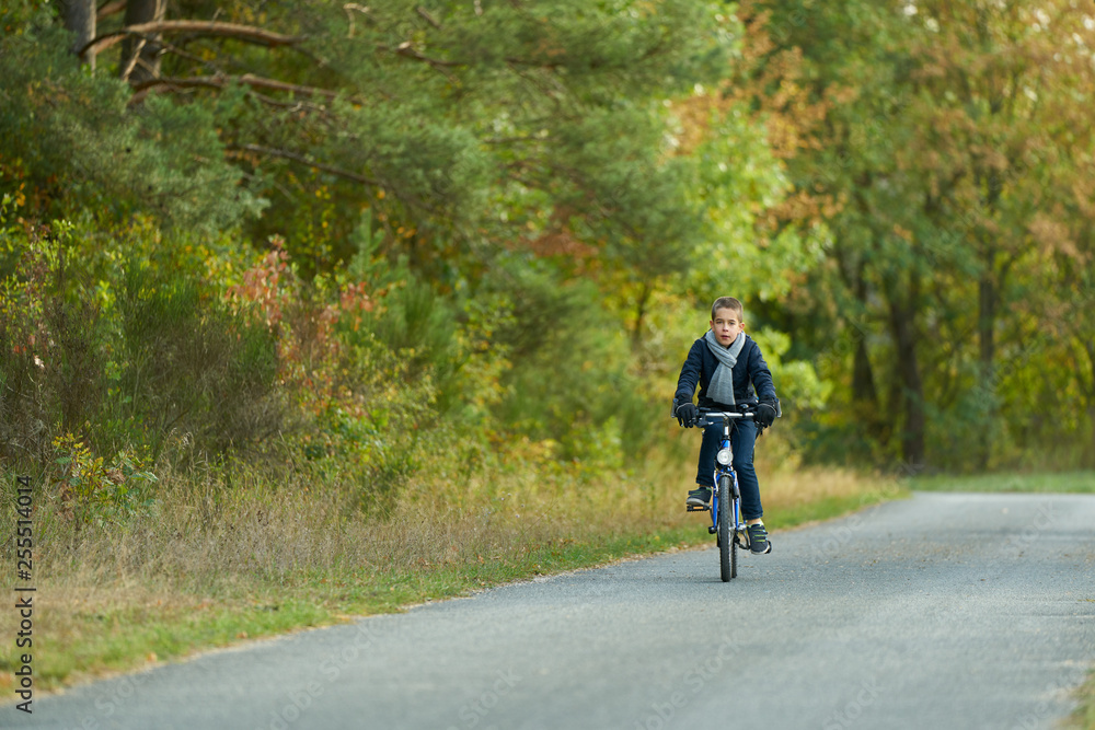 Boy with blue jacket rides a bicycle on an autumn day in the forest