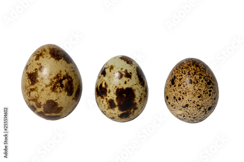quail eggs white background three units