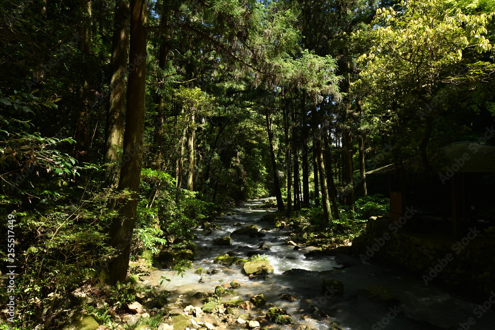 Obraz premium 秋芳洞