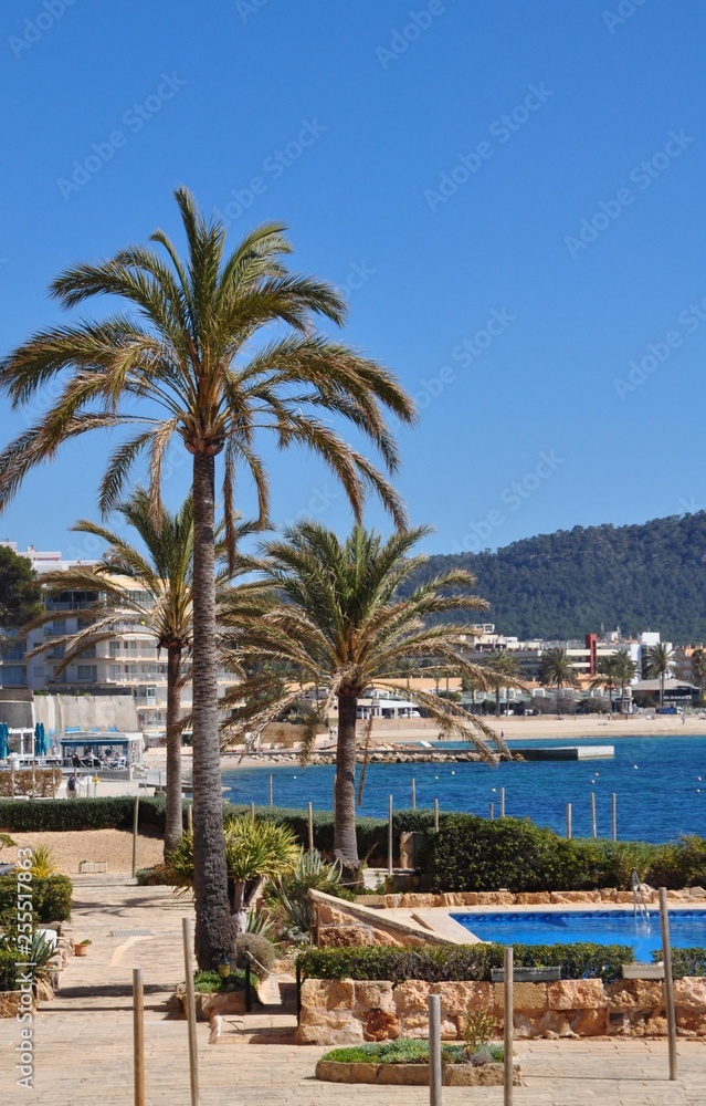 Fototapeta premium Santa Ponsa auf Mallorca