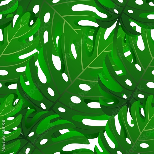 Seamless pattern of green realistic monstera leaves. Graphic design.