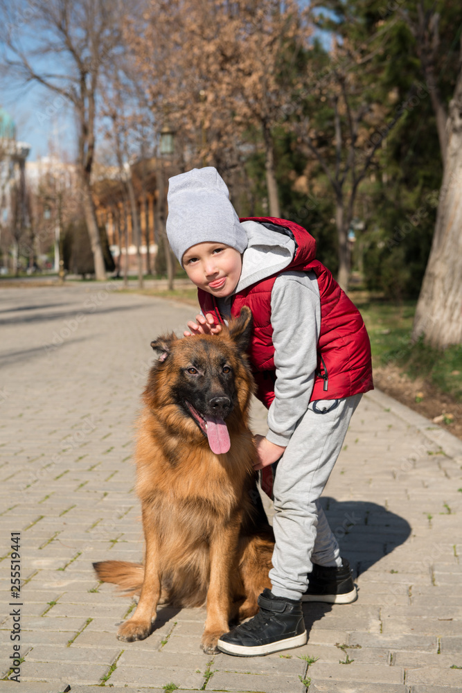 little boy playing with dog labrador in spring park little boy playing with dog labrador in spring park